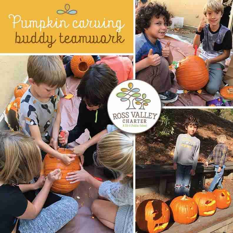 Ross-Valley-Charter-Pumpkin-Carving Image depicting: Ross Valley Charter "buddy families" have a child from each grade level who get together every week. The buddy families worked together to design and carve their pumpkins on Halloween.